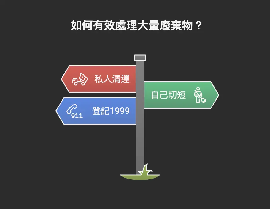木條亂丟會被罰多少？3種合法清運方法讓你省錢又安心